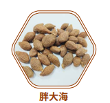 胖大海
