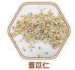 薏苡仁