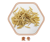 麦冬
