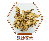 麸炒苍术